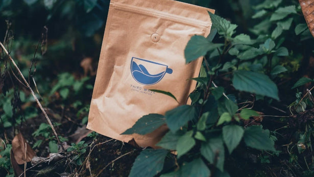 High Caffeine Coffee: Coffee For True Caffeine Lovers