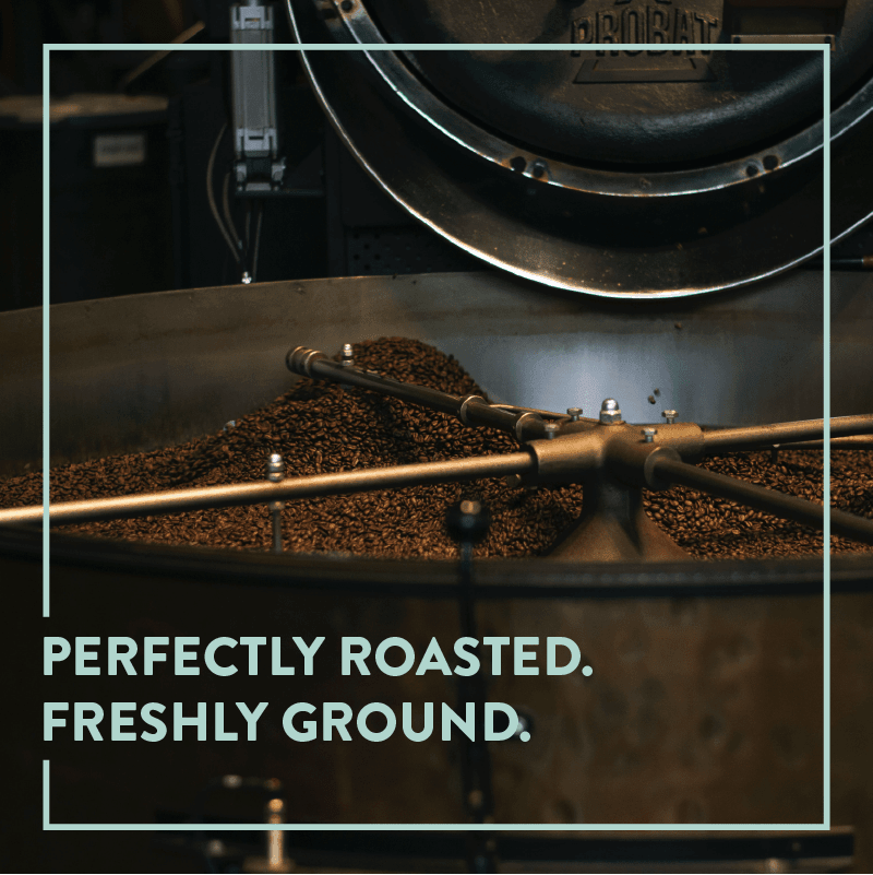 Baarbara Estate | Medium Roast - Third Wave Coffee Roasters